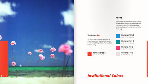 视觉识别系统 - haynes